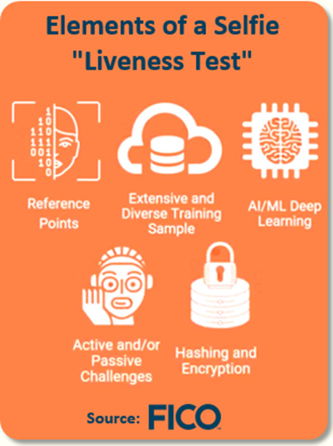 Elements of a selfie liveness test