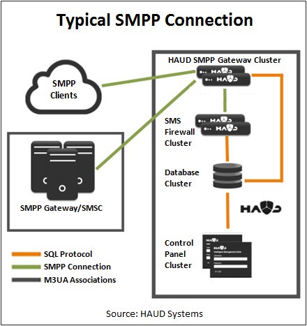Typical SMPP Connection