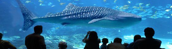 When Big Data is Too Big: The Value of Real-Time Filtering and Formatting
