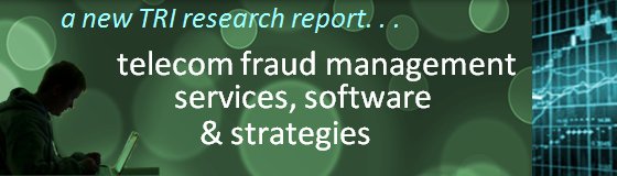A Sweeping 239-Page Research Report on Fraud Management Solutions & Strategies