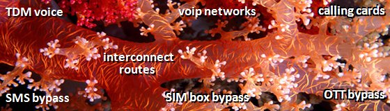 Mapping the Interconnect Resale Routes of Fraudsters: How a Global Robot Network Detects Voice and SMS Bypass